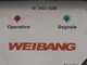 Weibang WBGT6813-TE - Trinciaerba radiocomandato professionale a martelli - cingolato - ibrido