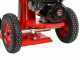 Blue Bird LSE 22000 - Spaccalegna a scoppio - Verticale - Loncin 302