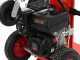 Blue Bird LSE 22000 - Spaccalegna a scoppio - Verticale - Loncin 302
