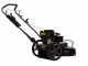 Weibang WBLT567HC - Decespugliatore a ruote a benzina - 4 tempi - A spinta