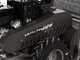Weibang WBGT6813 - Trinciaerba professionale a martelli - Motore a benzina 9 HP