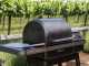 Traeger IronWood INT - Barbecue a pellet