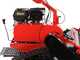 Blue Bird FM860 - Trinciaerba professionale a martelli  - Loncin G420F