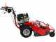 Meccanica Benassi TR 800 - Trinciaerba professionale a martelli - B&amp;S 3125E