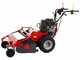 Meccanica Benassi TR 800 - Trinciaerba professionale a martelli - B&amp;S 3125E
