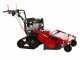 Meccanica Benassi TR 800 - Trinciaerba professionale a martelli - Cingolato - B&amp;S 3125E