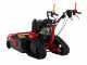 Meccanica Benassi TR 800 - Trinciaerba professionale a martelli - Cingolato - B&amp;S 3125E