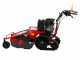 Meccanica Benassi TR 800 - Trinciaerba professionale a martelli - Cingolato - B&amp;S 3125E