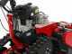 Meccanica Benassi TR 800 - Trinciaerba professionale a martelli - Cingolato - B&amp;S 3125E
