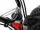 Meccanica Benassi TR 600 - Trinciaerba professionale a martelli - Cingolato - B&amp;S 3105E