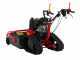 Meccanica Benassi TR 600 - Trinciaerba professionale a martelli - Cingolato - B&amp;S 3105E