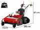 Meccanica Benassi TR 600 - Trinciaerba professionale a martelli - Cingolato - B&amp;S 3105E