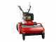 Meccanica Benassi TR 600 Hydro - Trinciaerba professionale a martelli - Cingolato - B&amp;S 3105E