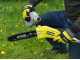 Ryobi RY36PP25A-0 - Potatore a batteria su asta con prolunga - MAX POWER 36V - Barra da 25cm - SENZA BATTERIA E CARICABATTERIE