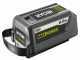 Ryobi RY36PP25A-0 - Potatore a batteria su asta con prolunga - MAX POWER 36V - Barra da 25cm - SENZA BATTERIA E CARICABATTERIE
