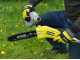 Ryobi RY36PP25A-0 - Potatore a batteria su asta con prolunga - Barra da 25cm - MAX POWER 36V 2Ah