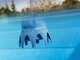 Trattamento per piscine Gre Poolp'o 10 - 20m&sup3; - 500g