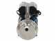 Tellarini ALM 25 MS - Pompa elettrica da travaso in acciaio inox - Raccordi in INOX dritti - Scegli i tuoi raccordi!