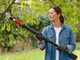 Bosch AdvancedPrune 18V-45 - Forbice elettrica da potatura su asta - 18V - 2Ah