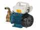 Tellarini EEM 20 - pompa da travaso in ottone - Monofase - 230V