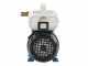 Tellarini EEM 20 - pompa da travaso in ottone - Monofase - 230V