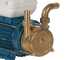 Tellarini EEM 20L - pompa da travaso in ottone - Monofase - 230V