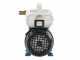 Tellarini EEM 20L - pompa da travaso in ottone