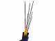 Lisam Avatar - Abbacchiatore Elettrico a batteria - Asta Telescopica - Batteria 12V 56Ah