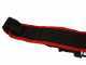 Lisam Swing - Abbacchiatore Elettrico a batteria - Asta Telescopica - Batteria 12V 56Ah