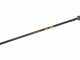 Lisam Swing - Abbacchiatore Elettrico a batteria - Asta Fissa - Batteria 12V 56Ah