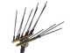 Lisam Swing 36V - Abbacchiatore elettrico a batteria a zaino 36V 30Ah - Asta telescopica 220/300 cm