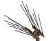 Lisam Swing 36V - Abbacchiatore elettrico a batteria a zaino 36V 30Ah - Asta telescopica 220/300 cm