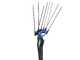 Campagnola MASTER PLUG-IN - Abbacchiatore a batteria al litio 21.6V 5Ah - Asta telescopica in carbonio e alluminio 288/373 cm