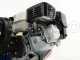 Kit motopompa irrorazione con carrello - Pompa Comet APS41 motore Honda GX160