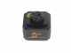 Oliviero Flex PCF Premium Cordless - Abbacchiatore con batteria a litio- Asta in carbonio - 245cm - 2x 21.6V 4.5Ah