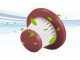 Beper P202ASP401 - Aspirabriciole ricaricabile - 7.4 V 2 Ah