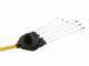 Oliviero Flex BCF Domestic Cordless - Abbacchiatore con batteria a litio - Asta in alluminio - 250cm - 14.4V 7.5Ah