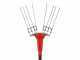 GeoTech Picker 550 TURBO - Abbacchiatore elettrico a batteria - 500W - Asta 230-310 cm
