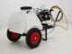 Kit motopompa irrorazione Comet APS41/Honda GX160 con carrello e serbatoio 120L