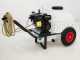 Motopompa irrorazione Comet APS 41 - Loncin G 160 F su carrello serbatoio 120 lt
