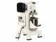 Prismafood iLine MZPL010 - Impastatrice planetaria - Vasca in inox 10 litri