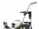 Annovi &amp; Reverberi Blue Clean 1005 - Idropulitrice portatile professionale a freddo - 180 bar - 900 l/h