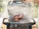Ninja Woodfire OG701EU - Barbecue elettrico con affumicatore e friggitrice ad aria