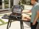 Ninja Woodfire Pro XL OG901EU - Barbecue elettrico con affumicatore
