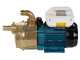 Tellarini EEM 30 - Pompa elettrica da travaso in ottone - Monofase - 230V