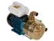 Tellarini EEM 30 - Pompa elettrica da travaso in ottone - Monofase - 230V