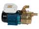 Tellarini EEM 40 - Pompa elettrica da travaso in ottone - Monofase - 230V