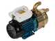 Tellarini EEM 40 - Pompa elettrica da travaso in ottone - Monofase - 230V