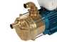 Tellarini EEM 40 - Pompa elettrica da travaso in ottone - Monofase - 230V
