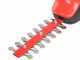 Blue Bird GC 22-10 - Forbice tagliaerba a batteria - Tagliasiepi - 12.6 V 2.5 Ah + Asta di prolunga